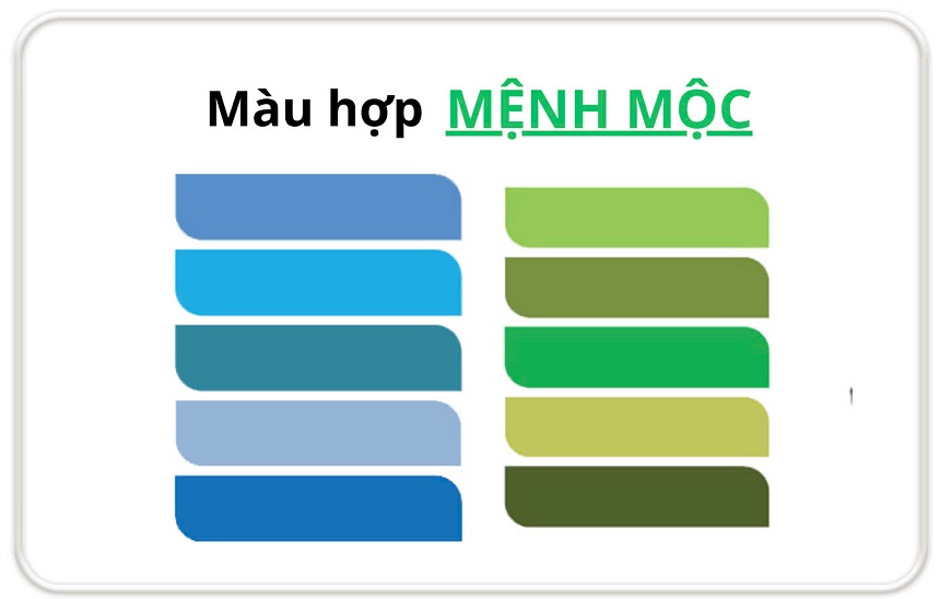 Màu sắc tương sinh tương hợp theo ngũ hành cho những người mệnh Mộc