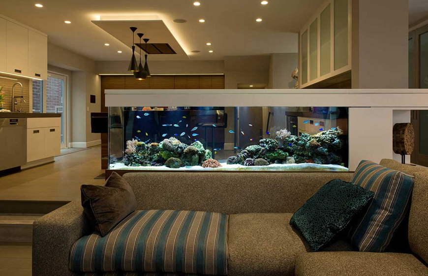 Song Ngư thường đặt bể cá cảnh trong nhà