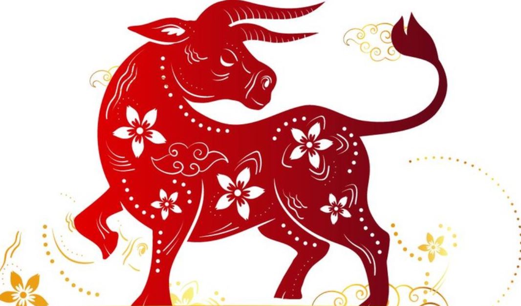 Tuổi Ất Sửu 1985 cầm tinh con trâu
