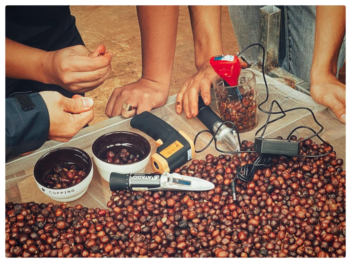 FINE-ROBUSTA-CUPPING-EVENT-EARLYMORNINGCOFFEE-EARLYMORNING-LOCVUNGCAFE-SPECIALTYCOFEE-ORGANICCOFFEE-9