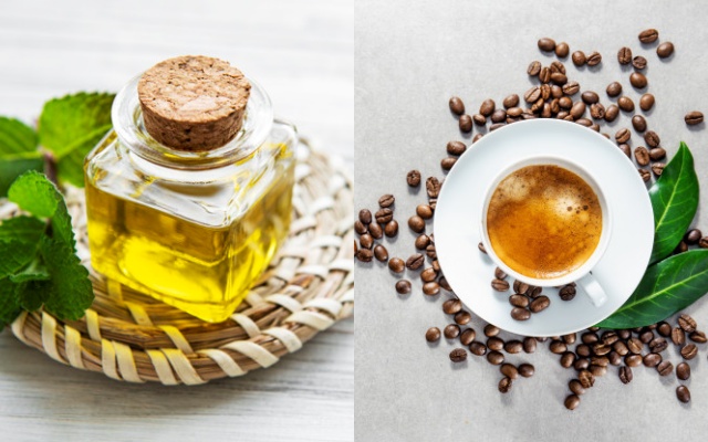 Tinh dầu bạc hà sẽ làm ly cà phê của bạn hấp dẫn hơn nhiều đấy