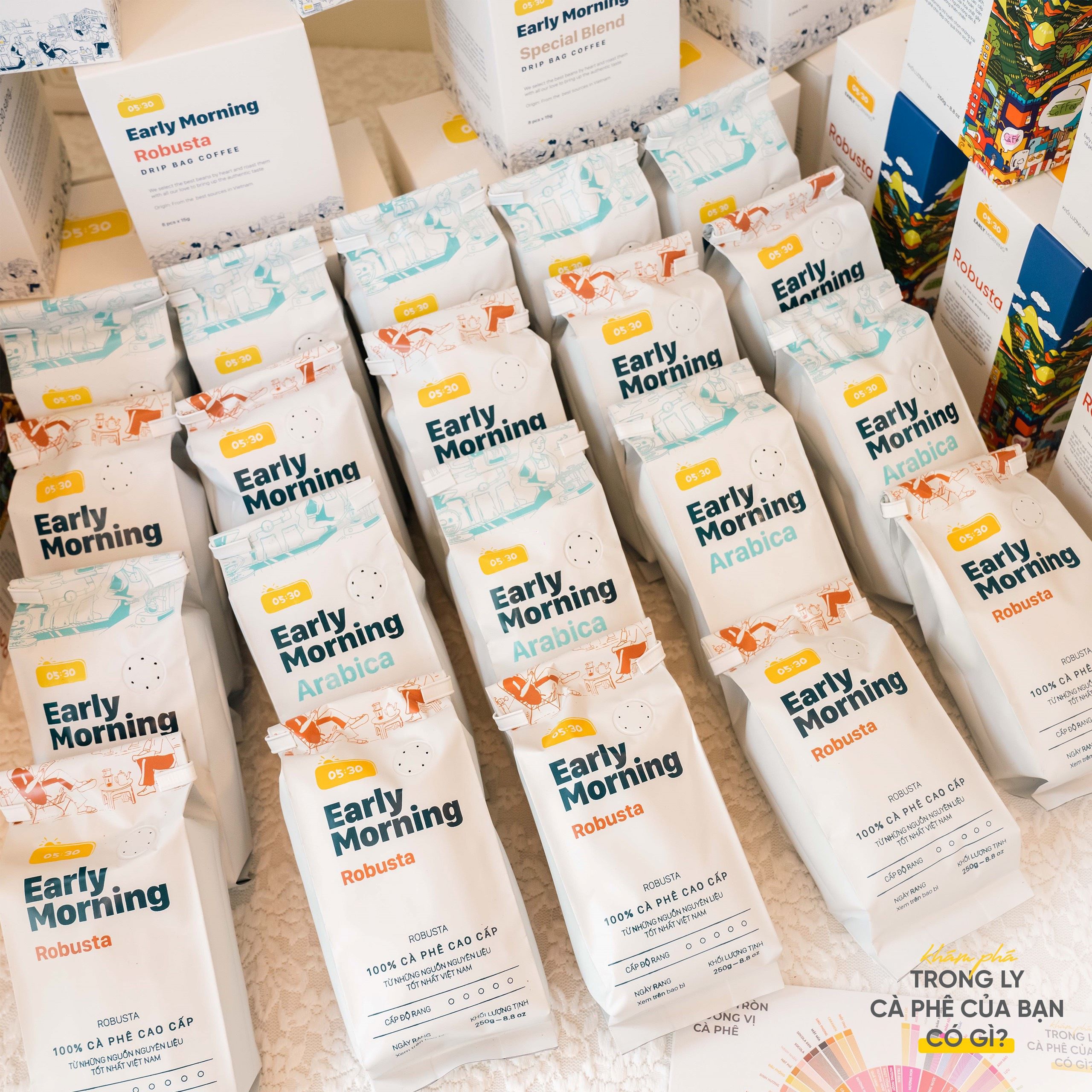 Các sản phẩm cà phê cao cấp của Early Morning: Premium Robusta, Arabica, Special Blend.