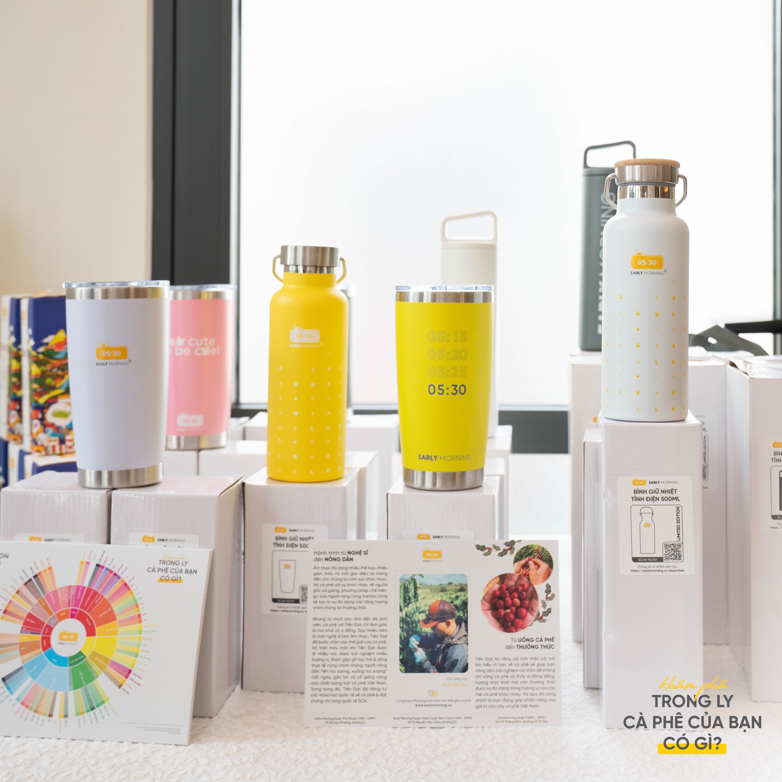 Bộ sưu tập ly/bình giữ nhiệt cao cấp của Early Morning