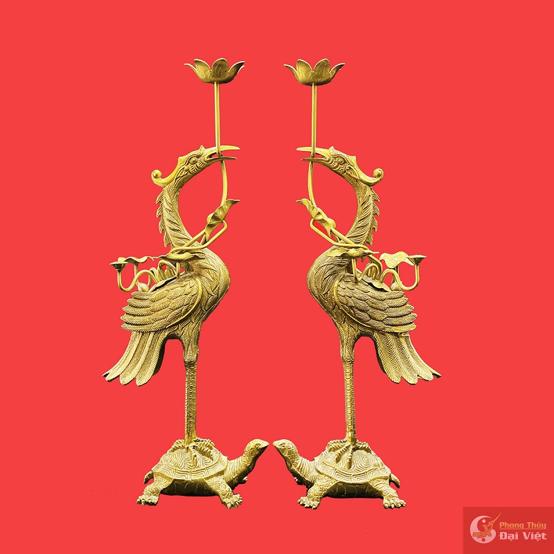 doi hac tren lung rua trong bo ngu su