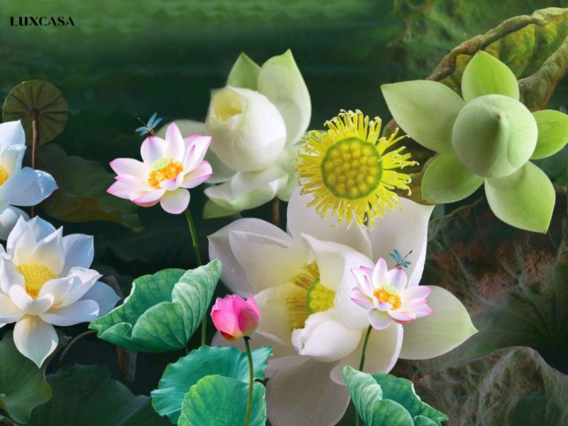 Mẫu gạch ốp tường phòng khách 3d hoa sen được nhiều người tìm kiếm trên thị trường