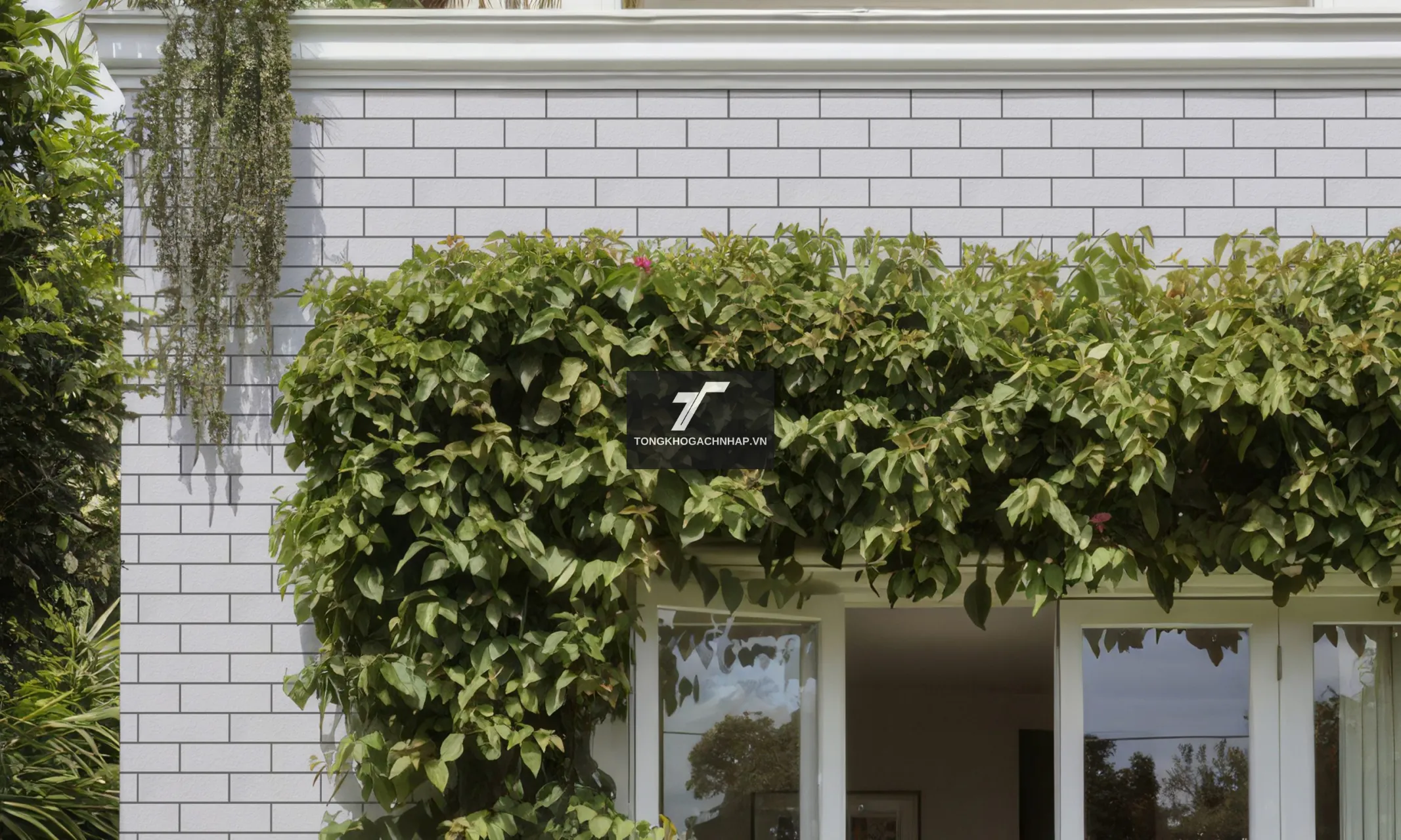 Mẫu gạch thẻ ốp mặt tiền CCK