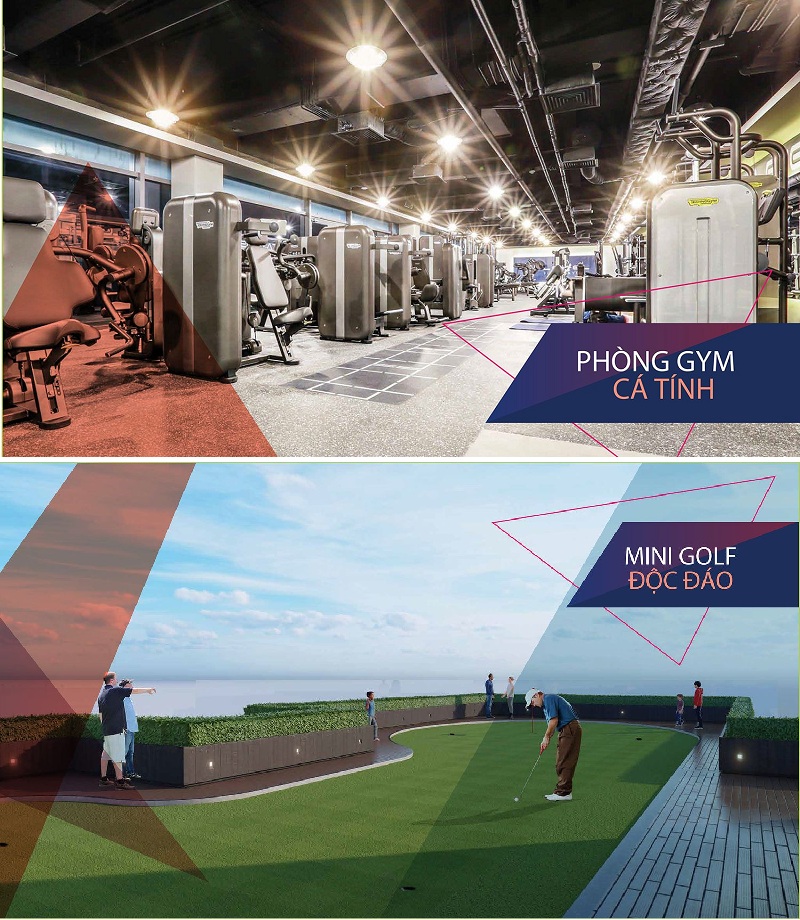 Sân chơi thể thao cao cấp