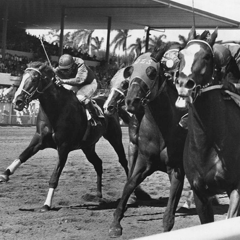 vì sao gọi là áo polo