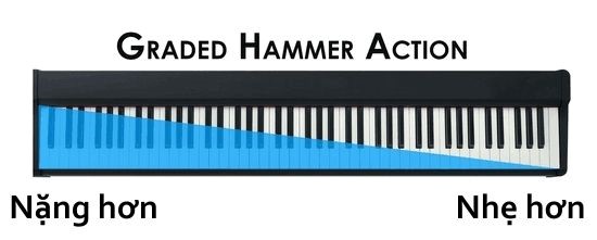 Lý do nên chọn đàn Piano điện Casio PX-770
