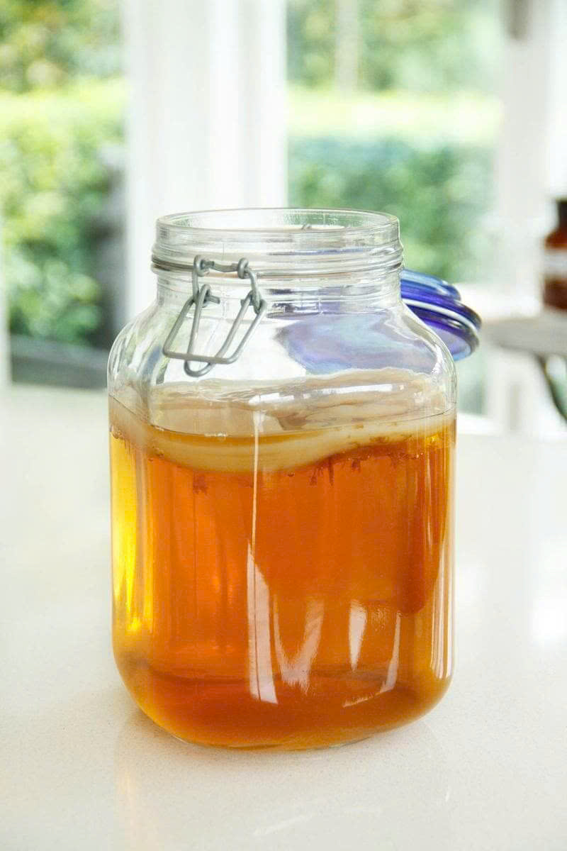 Hũ Thủy Tinh Fido: Quà Tết Làm Kombucha Sức Khỏe Cho Gia Đình - 1