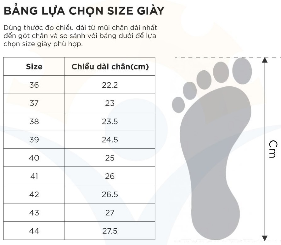 giày bảo hộ lao động HS60