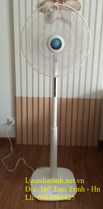 quạt cây lioa mầu trắng