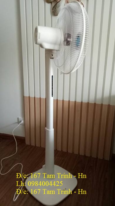 quạt cây lioa mầu ghi