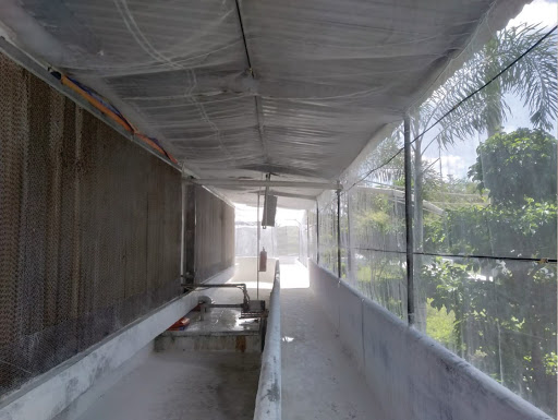 Bảo vệ trại khỏi ruồi muỗi bằng lưới chắn