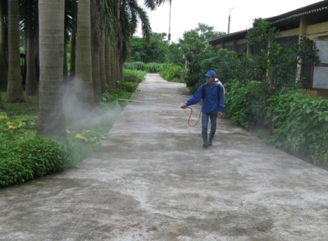 Phun khử khuẩn quanh khu vực chuồng trại