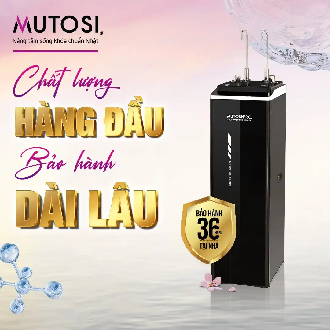 Bảo hành 36 tháng cao cấp