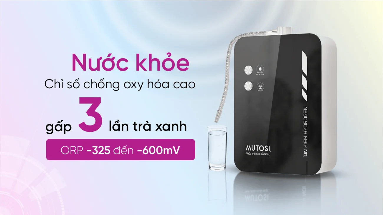 Nước khỏe với chỉ số chống oxy hóa cao