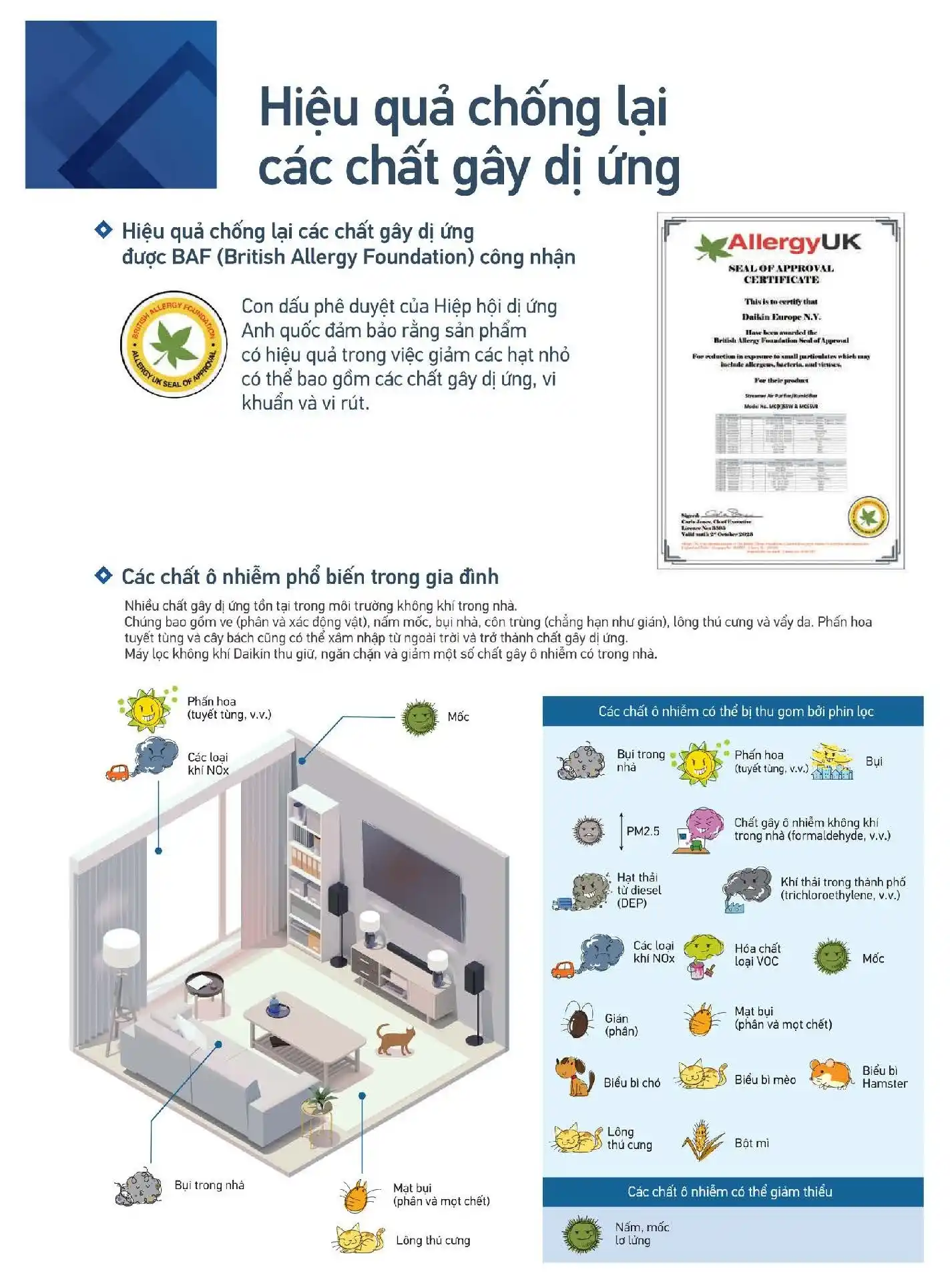 Hiệu quả loại bỏ các chất gây ô nhiễm, gây mùi, gây dị ứng