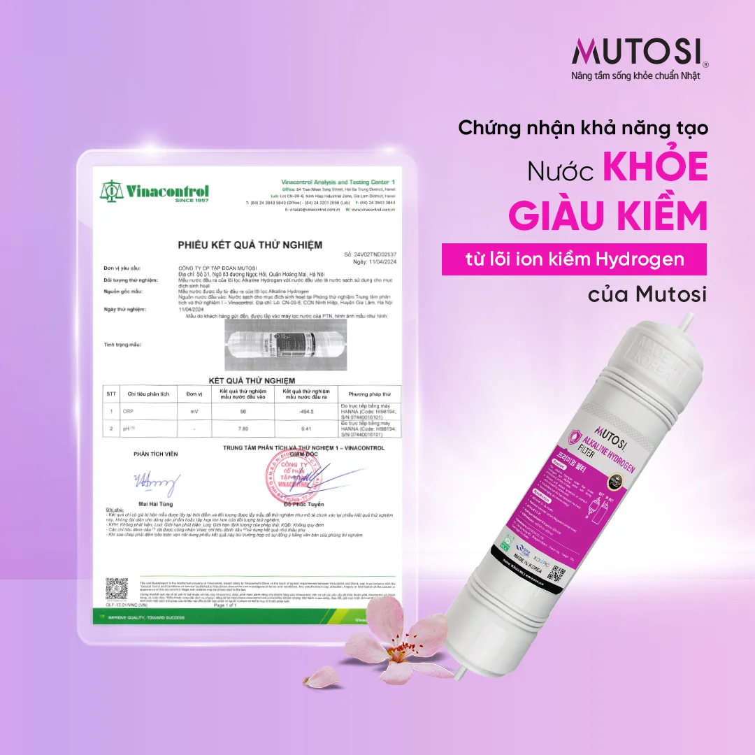 Lõi ION Kiềm sản xuất tại Hàn Quốc