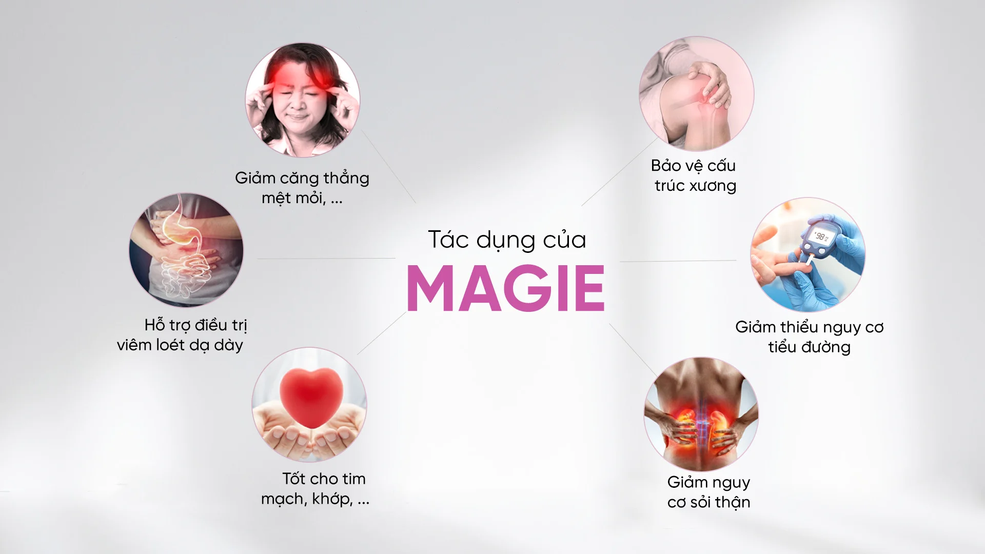 Tác dụng của Magie