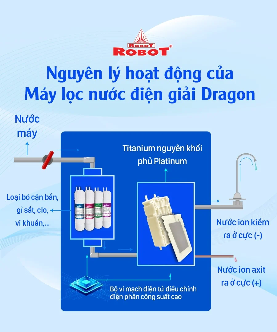 Nguyên lý hoạt động của máy DRAGON 247