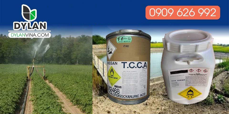Các sản phẩm TCCA thông dụng được nhập khẩu từ trung quốc nhật bản với hàm lượng 90%