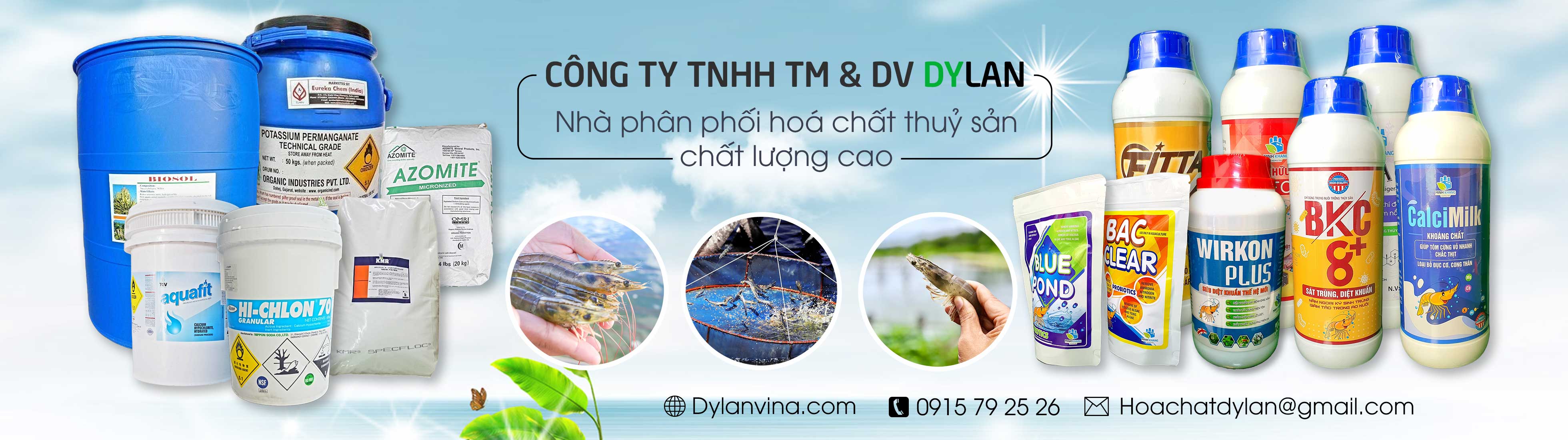 Các dòng sản phẩm thương mại công ty Dylan tại TP HCM