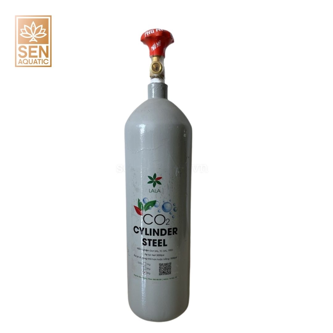 Tầm quan trọng của CO2 trong bể thủy sinh đối với cây trồng