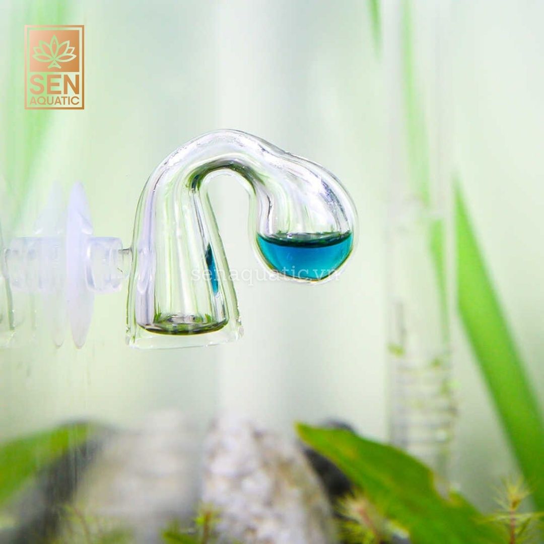 Tầm quan trọng của CO2 trong bể thủy sinh đối với cây trồng