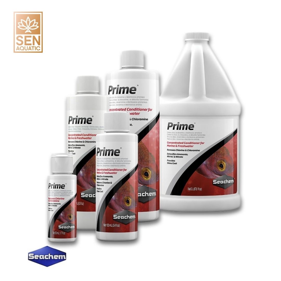 Khử độc Seachem Prime 1