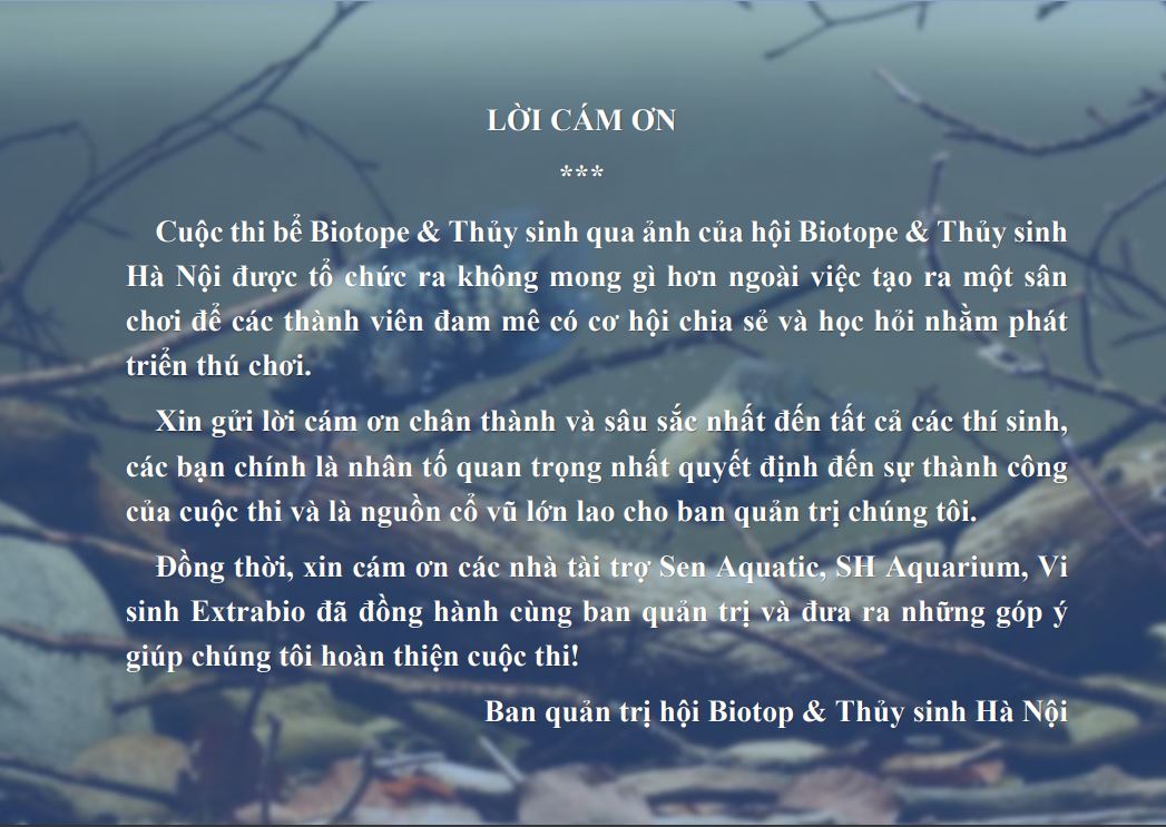 Sen Aquatic - Nhà tài trợ Vàng cho Cuộc thi bể Biotope và Thủy sinh qua ảnh tại Hà Nội
