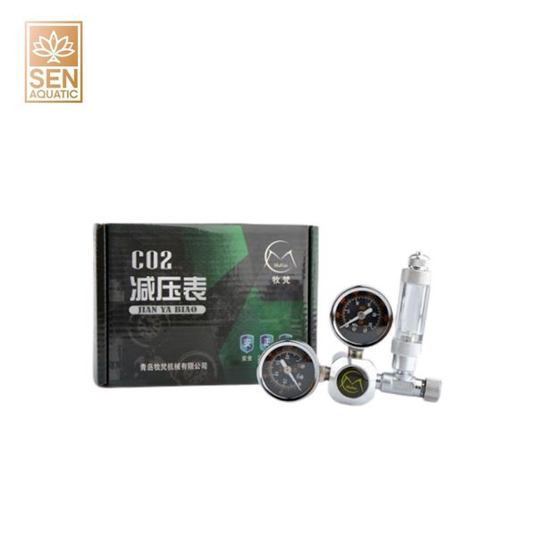 Tầm quan trọng của CO2 trong bể thủy sinh đối với cây trồng