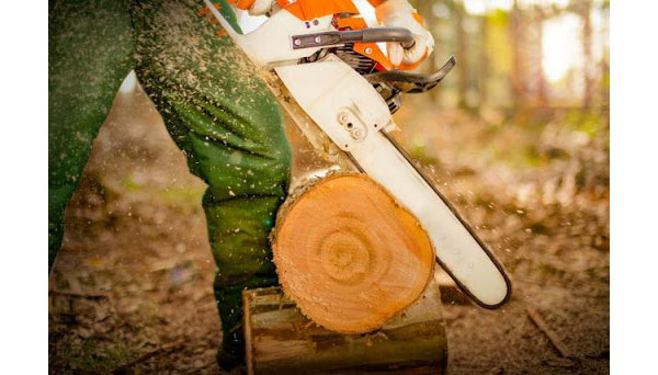 Bảo Vệ Tối Đa với Trang Bị Bảo Hộ