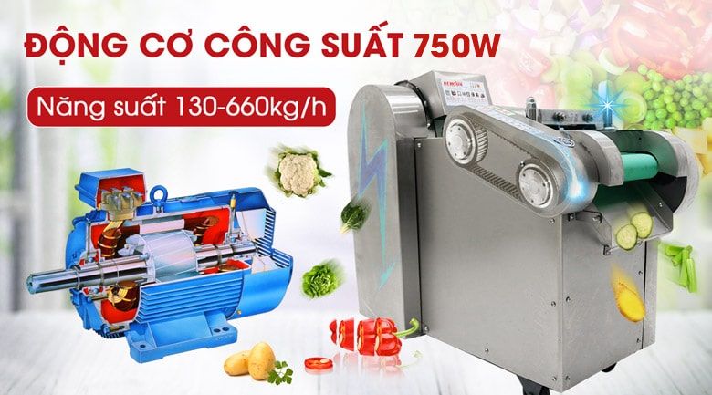 Máy thái rau củ quả công nghiệp YQC660