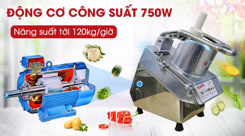 Máy thái rau củ quả đa năng VC65
