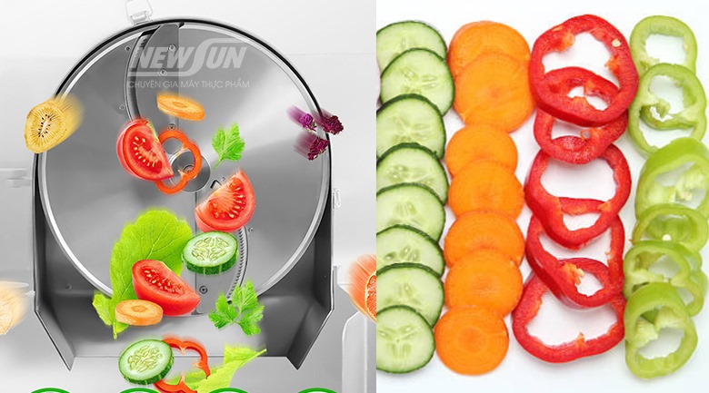 Máy thái rau củ quả công nghiệp HE300