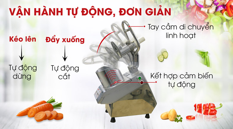 Máy thái rau củ quả đa năng VC65