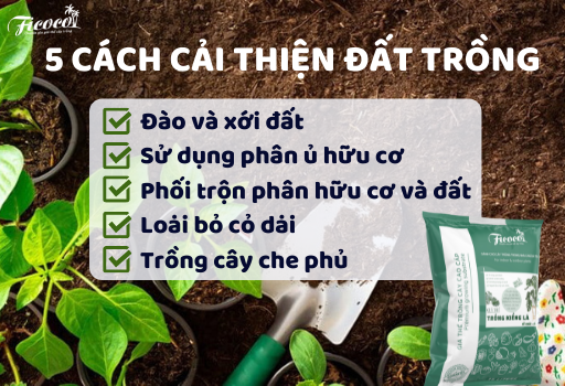 5-cach-cai-thien-dat-trong