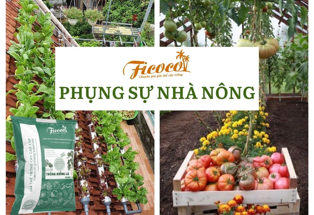 phung-su-nha-nong