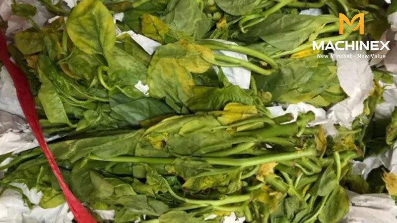 Nông sản úa