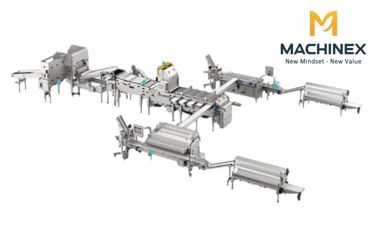 dây chuyền sơ chế trái cây