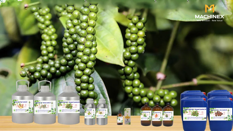 Chọn hồ tiêu xanh hay già, hương vị khác nhau thế nào?