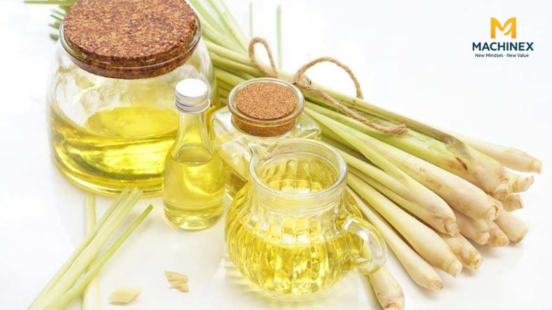 Có cần lọc tinh dầu sả sau chưng cất hay không?