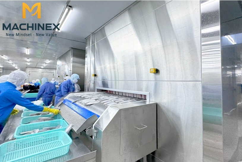 Dây chuyền cấp đông trái cây năng suất cao