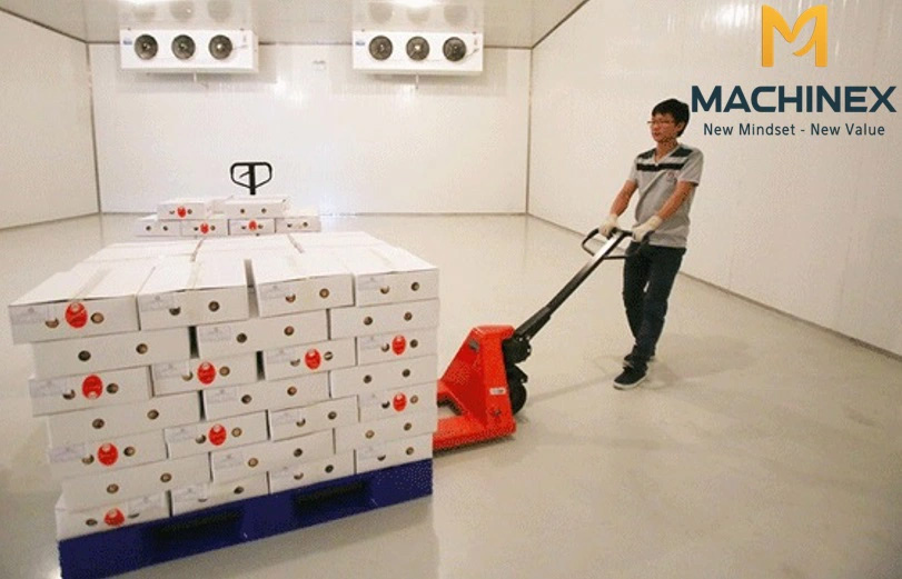 Kho lạnh bảo quản vải thiều tươi