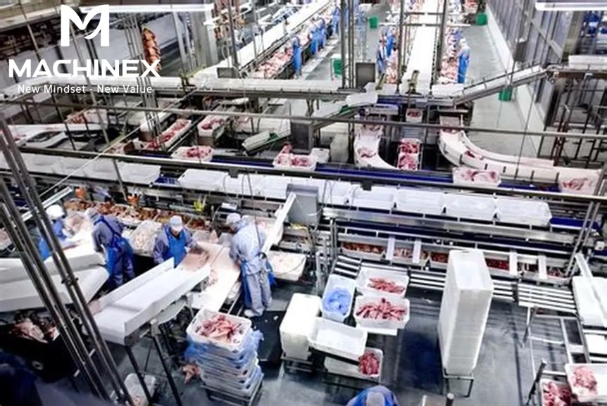 Dây chuyền sản xuất khô bò, gà