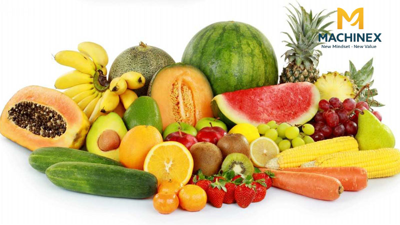 Dây chuyền phân loại trái cây theo độ chín và màu sắc