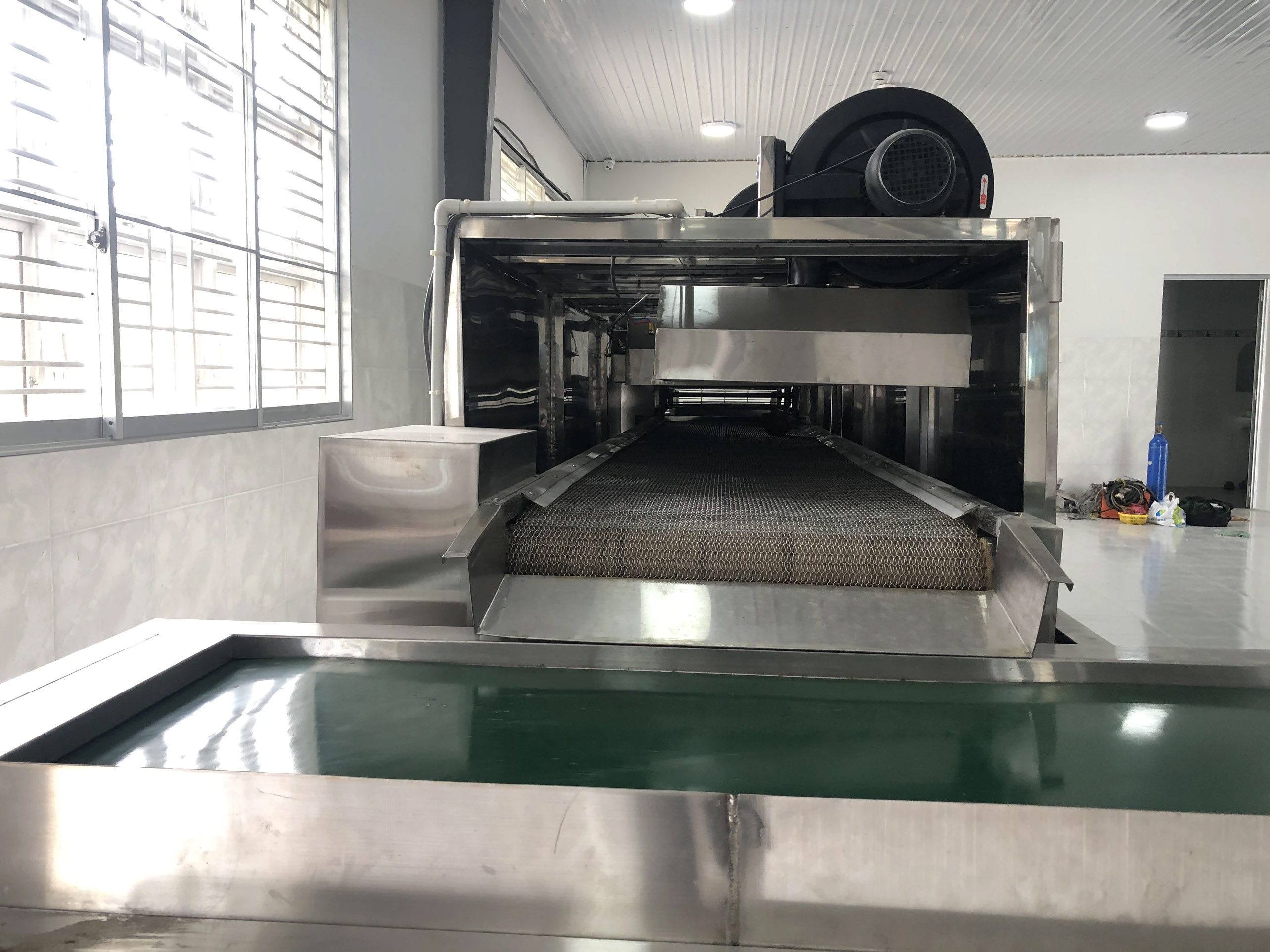 dây chuyền rửa nông sản tự động