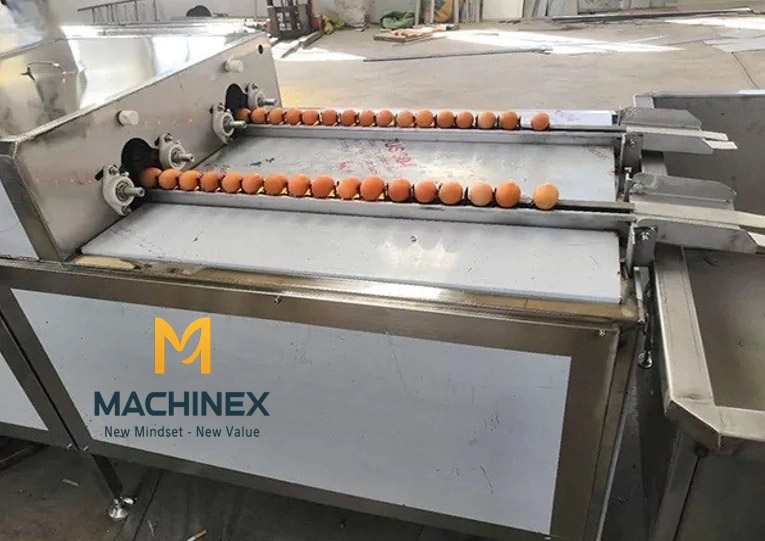 dây chuyền rửa và phân loại trứng gà