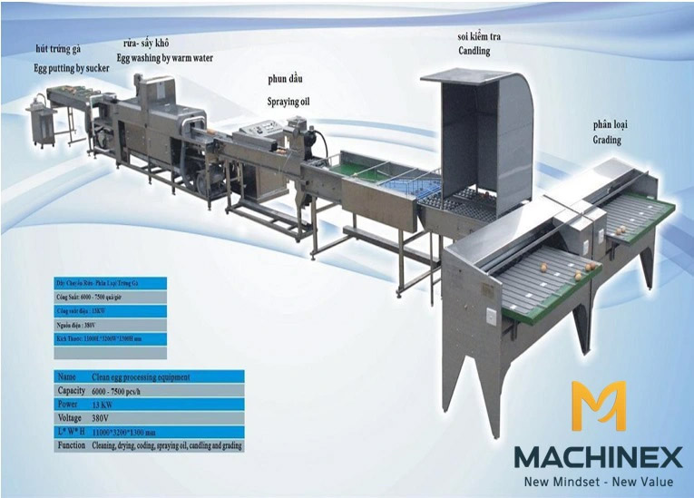 dây chuyền rửa và phân loại trứng gà